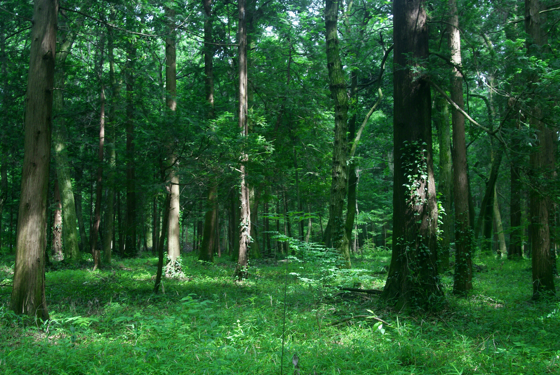 image01