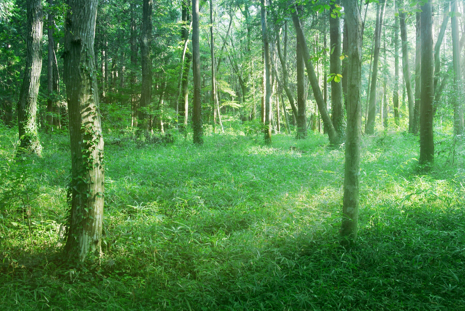 image02